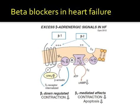 beta blockers band|ST LP .